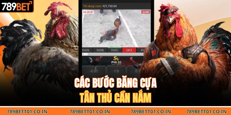 Các bước băng cựa tân thủ cần nắm