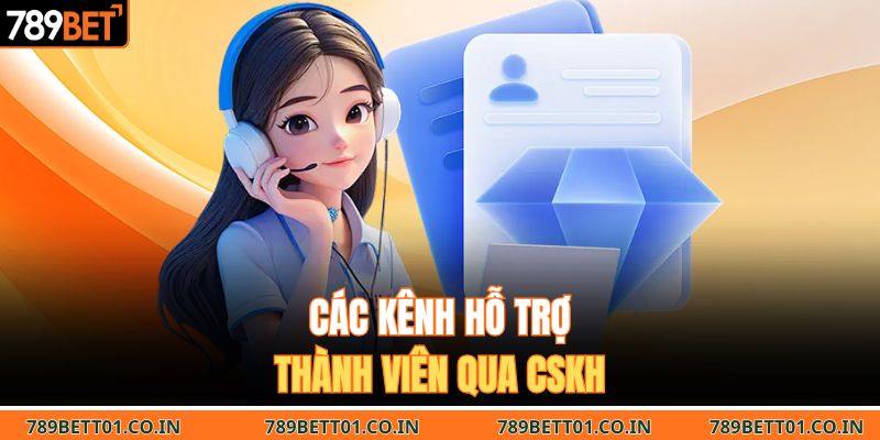 Các kênh hỗ trợ thành viên qua CSKH
