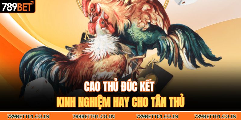 Cao thủ đúc kết kinh nghiệm hay cho tân thủ