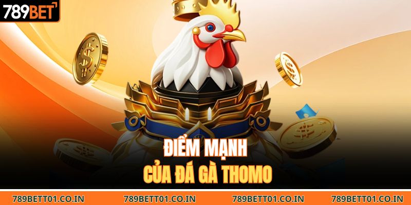 Điểm mạnh của đá gà Thomo