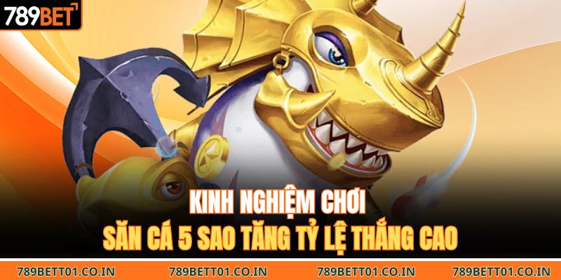 Kinh nghiệm chơi săn cá 5 sao tăng tỷ lệ thắng cao