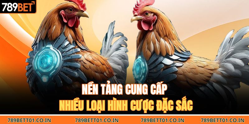 Nền tảng cung cấp nhiều loại hình cược đặc sắc