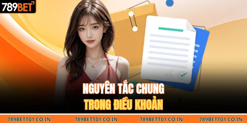 Nguyên tắc chung trong điều khoản