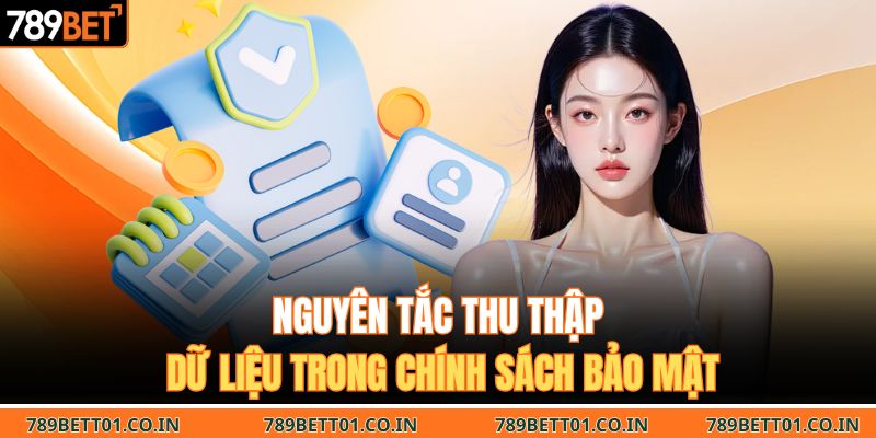 Nguyên tắc thu thập dữ liệu trong chính sách bảo mật