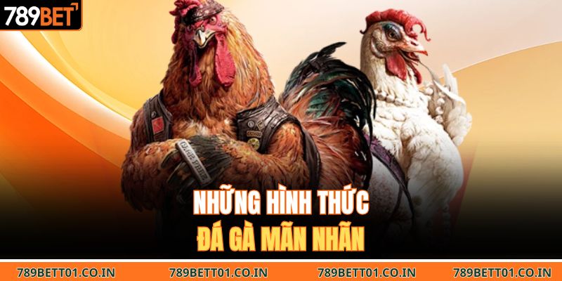 Những hình thức đá gà mãn nhãn