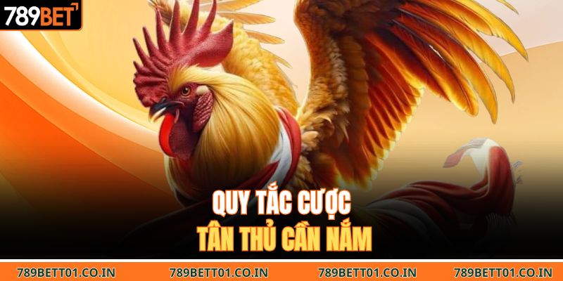 Quy tắc cược tân thủ cần nắm 