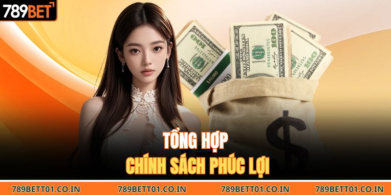Tổng hợp chính sách phúc lợi 