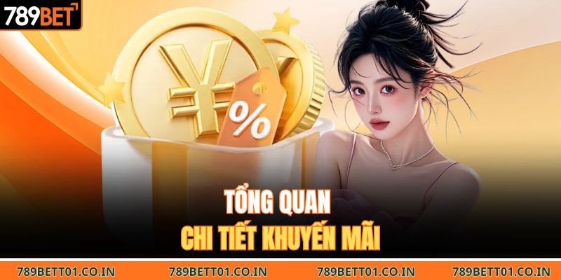 Tổng quan chi tiết khuyến mãi 